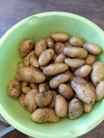 IMG_20180805_111210199 (1)