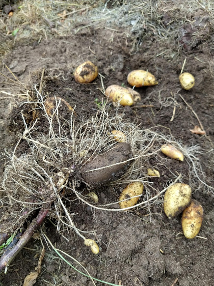 IMG_20180811_135241560_HDR