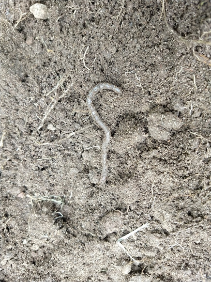 IMG_20180811_135337312