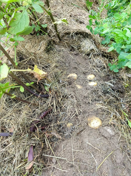 IMG_20180811_135749545_HDR