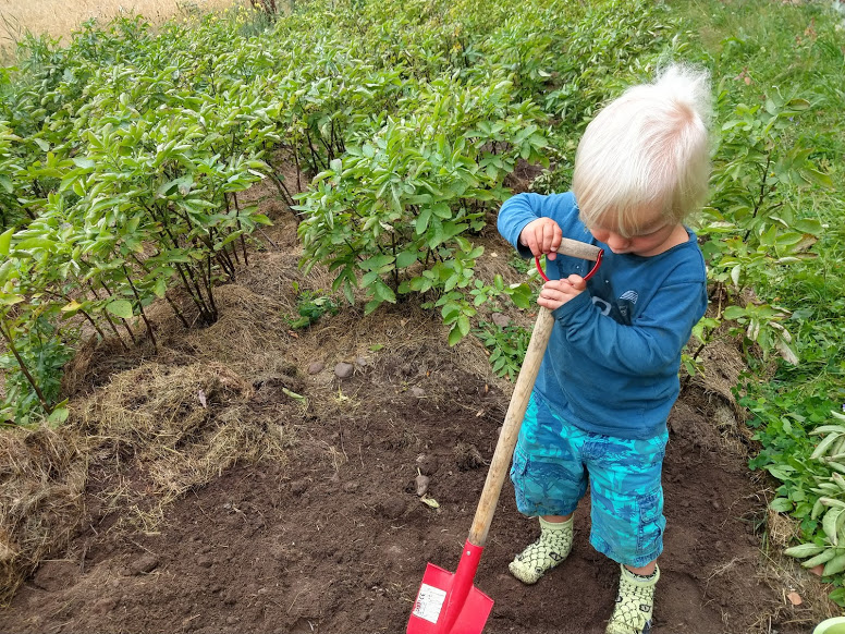 IMG_20180811_140210522_HDR