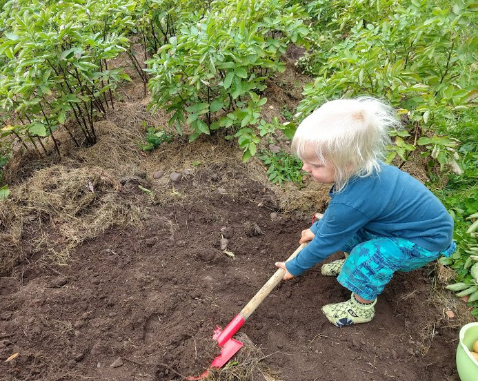 IMG_20180811_140216972_HDR