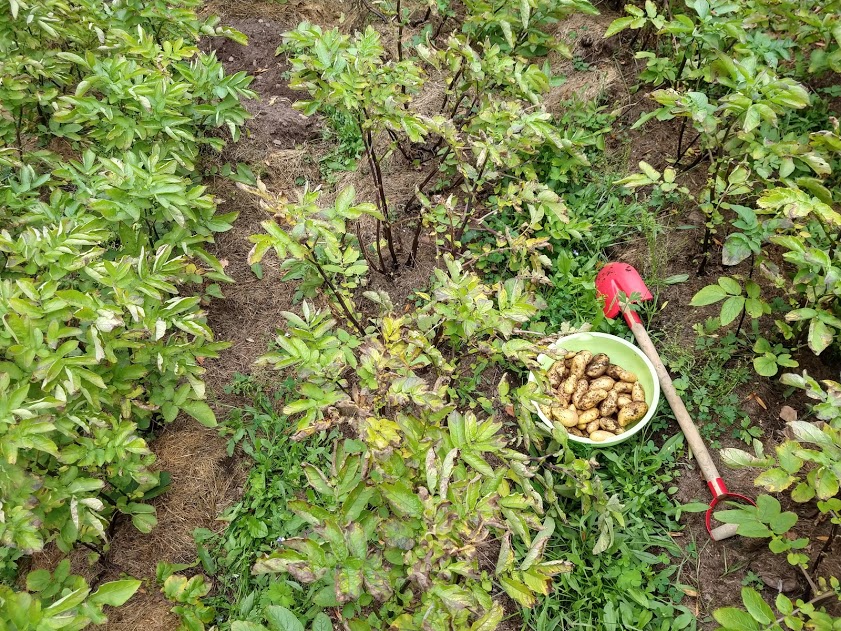 IMG_20180811_140553907_HDR