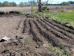 Dette bildet har et tomt alt-attributt, og filnavnet er img_20200506_143129782.jpg